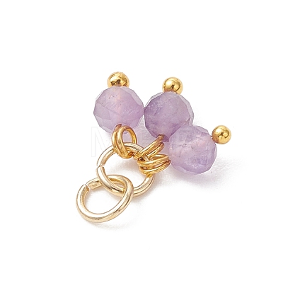 Natural Gemstone Pendants PALLOY-JF05141-02-1