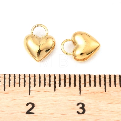 304 Stainless Steel Charms X-STAS-A089-29G-1