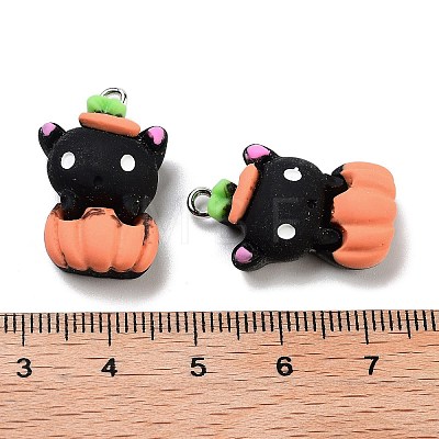 Halloween Theme Opaque Resin Pendants RESI-N039-91-1