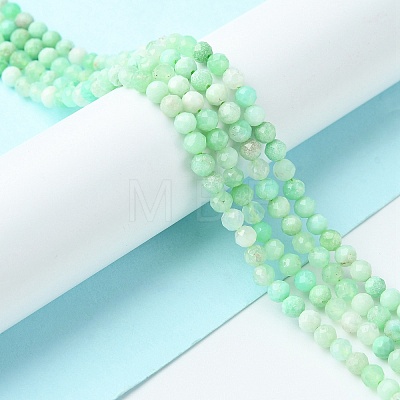 Natural Chrysoprase Beads Strands G-F748-X01-03A-1