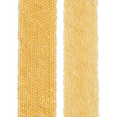 Glass Beads Strands EGLA-A044-T2mm-D03-1