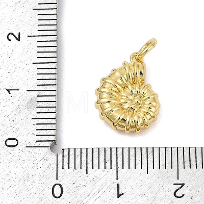 Brass Charms KK-U058-56G-1