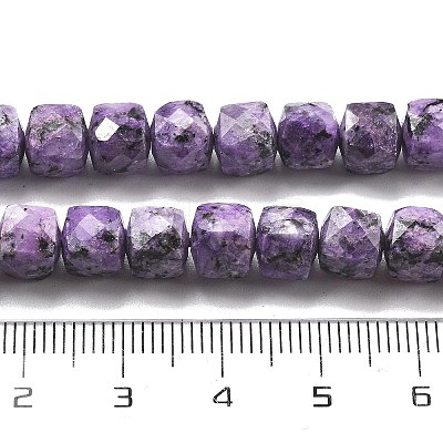 Dyed Natural Sesame Jasper Imitation Charoite Beads Strands G-C179-B01-01-1