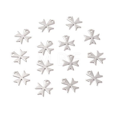 Non-Tarnish 304 Stainless Steel Charms STAS-C043-49P-01-1