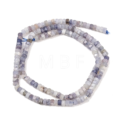 Natural Iolite Beads Strands G-G345-C06-2x4mm-1