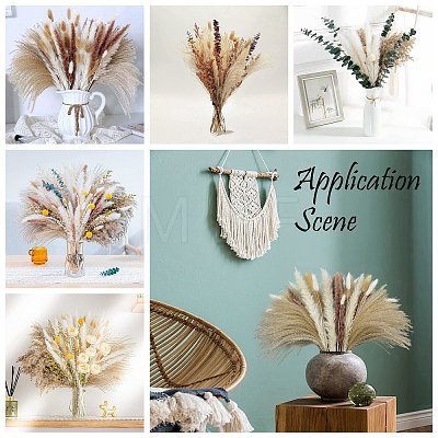 Mini Dried Pampas Grass HULI-PW0002-112B-1