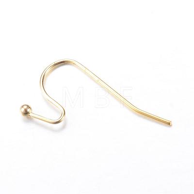 Iron Earring Hooks IFIN-T001-05G-NF-1