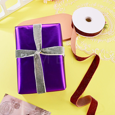 10 Yards Polyester Velvet Ribbon OCOR-TA0004-13E-1
