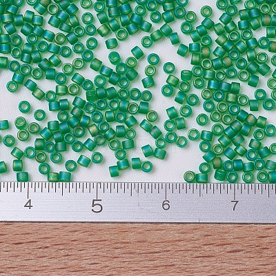MIYUKI Delica Beads Small X-SEED-J020-DBS0858-1