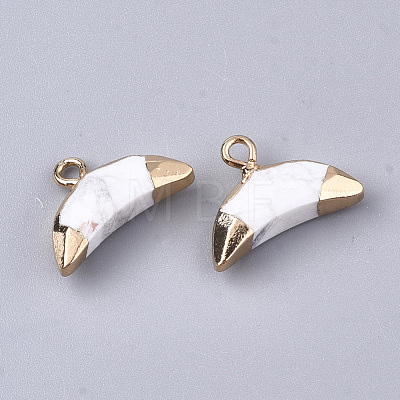 Electroplate Natural Howlite Charms G-S344-48C-1