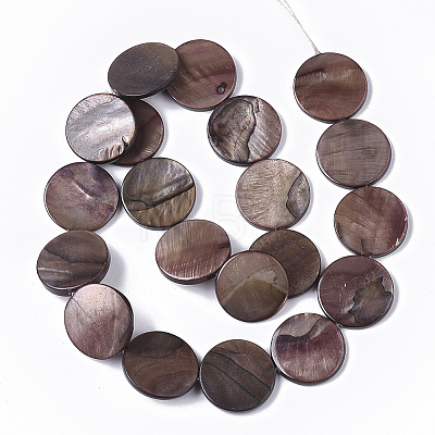 Freshwater Shell Beads Strands SHEL-T014-011A-1