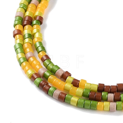 Handmade Czech Lampwork Beads Strands LAMP-L078-008H-1