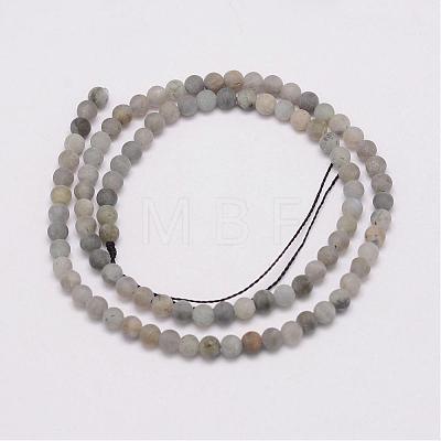 Natural Labradorite Beads Strands G-G970-02-4mm-1