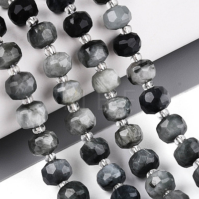 Natural Eagle Eye Stone Beads Strands G-N327-08A-02-1