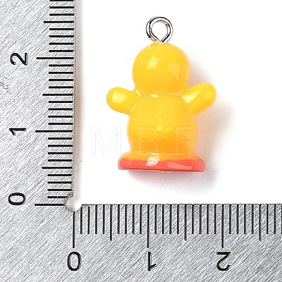 Opaque Resin Pendants RESI-S399-04-1