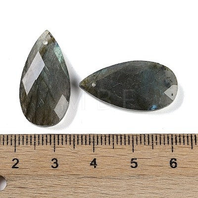 Natural Labradorite Pendants G-C140-05J-1