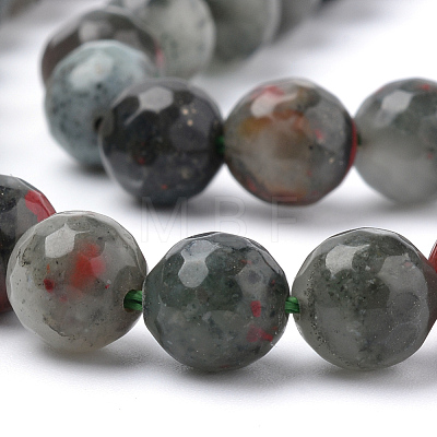 Natural African Bloodstone Beads Strands G-Q462-95-10mm-1