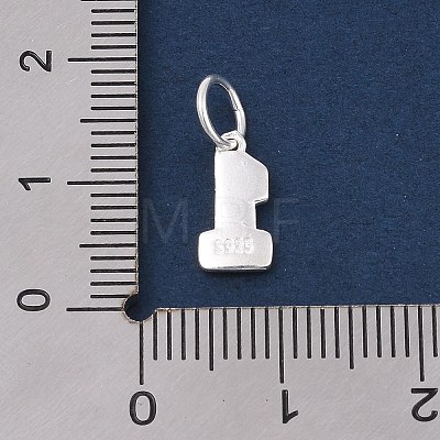 Number Series 925 Sterling Silver Charms LS-STER-Q002-01B-1
