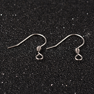 304 Stainless Steel Earring Hook Jewelry Findings STAS-G130-50P-1