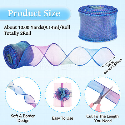 2 Rolls Polyester Mesh Ribbons SRIB-TA0003-42A-1