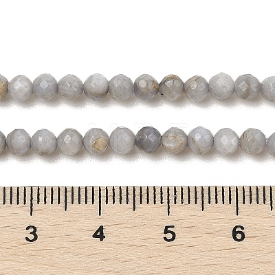 Natural Freshwater Shell Dyed Beads Strands SHEL-R100-12A-04-1