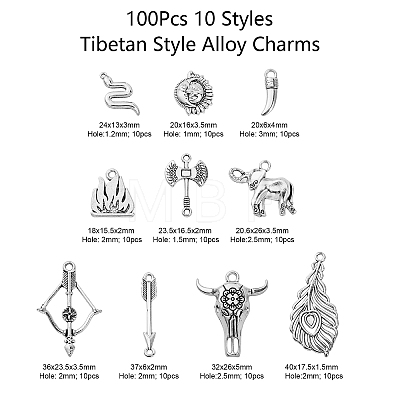 100Pcs 10 Styles Tibetan Style Alloy Pendants TIBEP-CJ0001-94-1