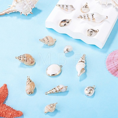 14Pcs 7 Styles Electroplated Natural Mixed Shell Pendants BSHE-TA0001-34B-1