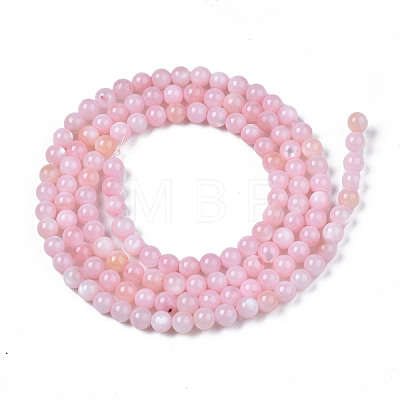 Natural Freshwater Shell Beads Strands X-BSHE-T009A-01C-1