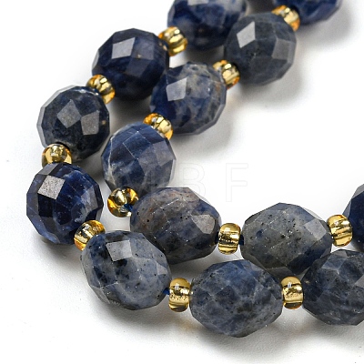 Natural Sodalite Beads Strands G-N342-57-1