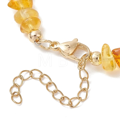 Natural Amber Chip Beaded Necklaces for Women NJEW-JN05871-1