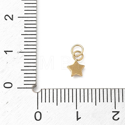 304 Stainless Steel Charms STAS-B140-04G-1