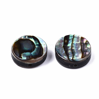 Natural Abalone Shell/Paua Shell Beads SSHEL-T014-14B-1