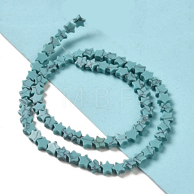 Dyed Synthetic Turquoise Beads Strands G-G085-B32-02-1