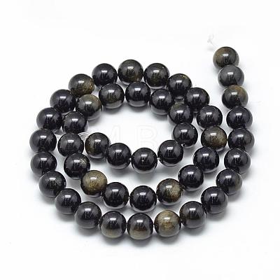 Natural Golden Sheen Obsidian Beads Strands G-R446-10mm-22-1
