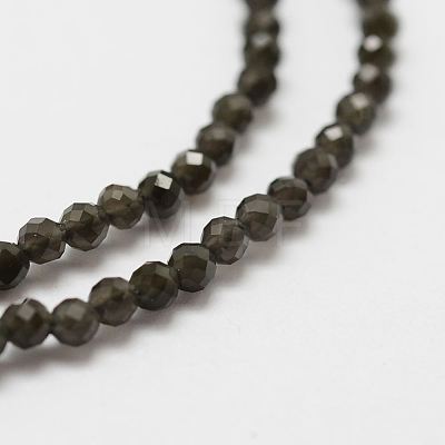 Natural Obsidian Bead Strands G-P270-2mm-28-1