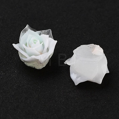 Luminous Resin Decoden Cabochons RESI-K036-50-1