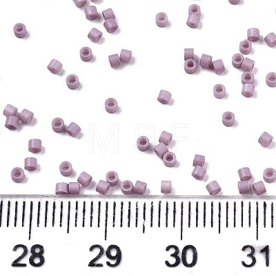 11/0 Grade A Glass Seed Beads SEED-S030-1008-1