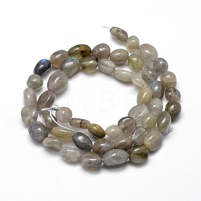 Natural Labradorite Nuggets Beads Strands G-J335-40-1