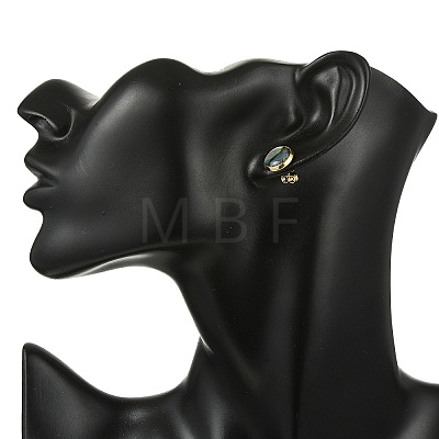 Flat Round Natural Paua Shell Stud Earring for Women EJEW-JE07126-01-1