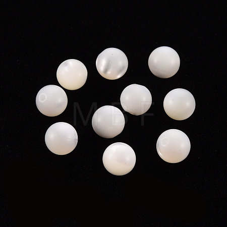 Natural Trochid Shell/Trochus Shell Beads SSHEL-T014-29C-1