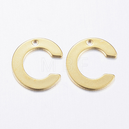 304 Stainless Steel Charms LS-X-STAS-P141-C-1