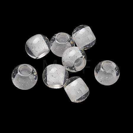 Transparent Resin European Beads RESI-F073-19-1