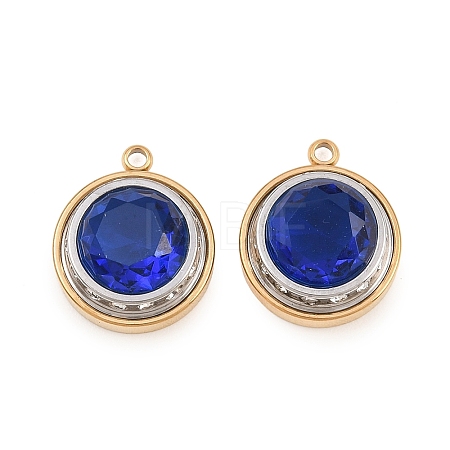 304 Stainless Steel Rhinestone Pendants STAS-Z203-01G-02-1