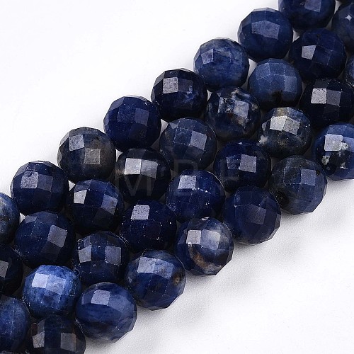 Natural Sodalite Beads Strands G-S345-8mm-26-1