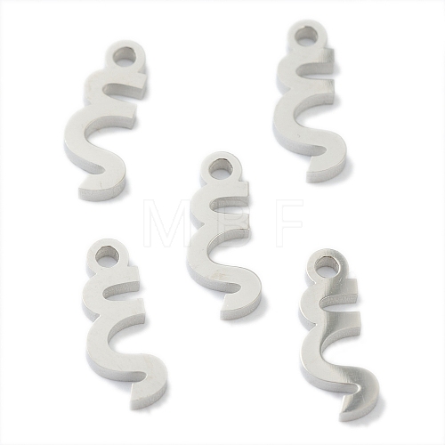 304 Stainless Steel Charms STAS-G244-01X-1