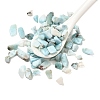 Natural Larimar Chip Beads G-Q193-01A-1