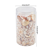 Natural Sea Shell Beads Kits SSHEL-PH0002-49-2