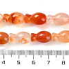 Natural Agate Beads Strands G-H024-E01-01-5