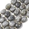 Natural Labradorite Beads Strands G-G453-D10-01-2