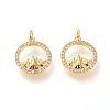 Brass Micro Pave Clear Cubic Zirconia Charms X-ZIRC-L098-025G-1